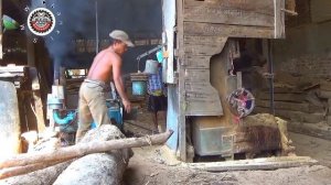 Resembling Angel Eyes || Sawing Awesome Mysterious Wood || Sawmill 🪵🌳