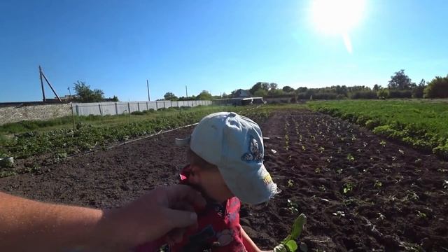 Деревенские будни / Очередной огородный влог / Пацаны сажают рассаду