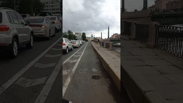 РУССКИЕ БОРЗЫЕ - ПОРОДА СОБАК