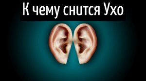 К чему снится УХО или видеть во сне УХО | Толкование снов | Сонник Sk1.online