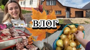 VLOG: ИДУ НА РЕНТГЕН//ПОКУПКИ/МЕЧТЫ РУХНУЛИ...
