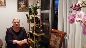 КАК И ЧЕМ ЗАМЕНИТЬ ЛЕСТНИЦУ-СТРЕМЯНКУ