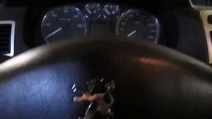 Peugeot 307 - Открывается багажник