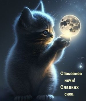 Оригинальное Пожелание Доброй Ночи! Сладких Снов!