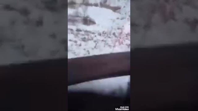 Вышка 250 метров