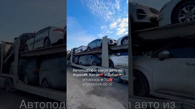 Авто из Кореи, Китая и Дубая #авто #changan #geely #monjaro #автоизкореи #tugella  #lexus #машина