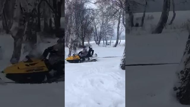 2.01.2020г дети катаются.mp4 смотреть онлайн