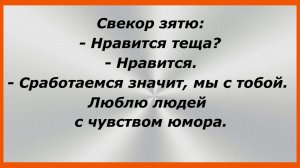 Свекор зятю:— Нравится теща?— Нравится. Сборник Свежих Жизненных Анекдотов! 172