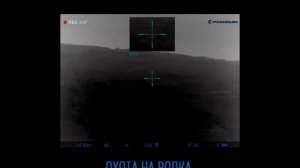 Охота на волка в Дагестане на приваде.