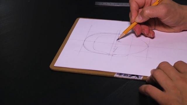 Изображение головы: пропорции лица