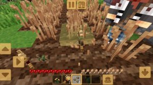 Играю в игру мастер блок крафт