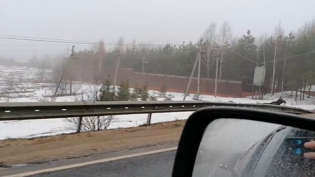 Лось на дороге на Новое Гришино смотреть онлайн