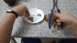 Как быстро расколоть абрикосовые косточки