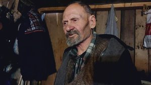 Отшельник в будке в Москве| Жизнь бродяг| Кинули на деньги