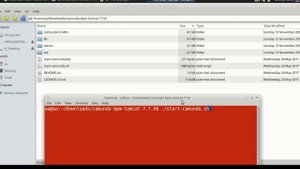 How to Install Camunda BPM in Ubuntu Studio (Community Edition)