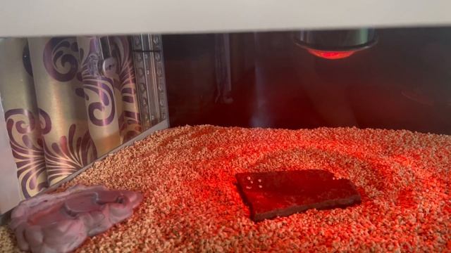 Аквариум для черепах смотреть онлайн