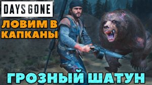 Days Gone(Жизнь После) - Грозный Шатун! Ловим в капканы! Выживание 2.