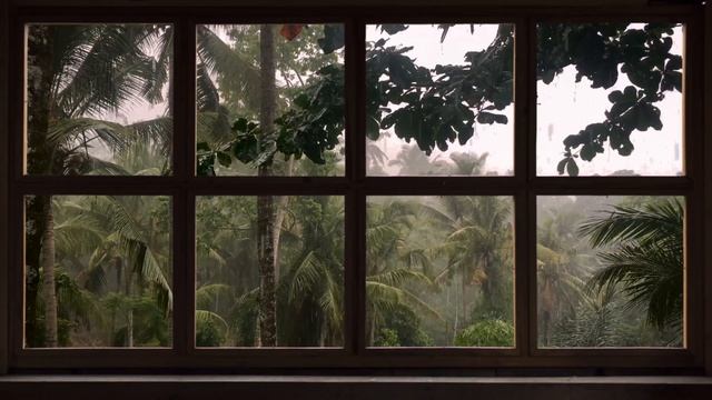 4K 10 hours - Tropical Storm Window with Rain & Thunder - relaxation, meditation, nature смотреть онлайн