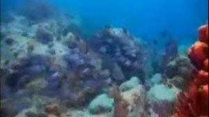 Окинава-остров долгожителей.