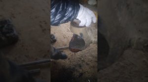 выбить втулки шкворня при помощи хлеба на Экскововаторе погрузчике