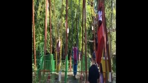 Крылатые качели