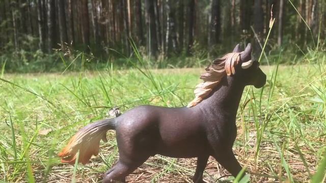 Фотографии шляих на природе смотреть онлайн