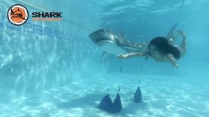 Аттракцион SHARKPHOTOSHOOT Аквапарк Питер Лэнд 1080p