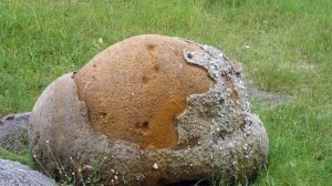 НЕВЕРОЯТНО! Камни способные расти и размножаться!