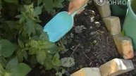 За полив из шланга — штраф