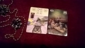 Разбираем подробно карту КРЫСЫ/оракул Ленорман