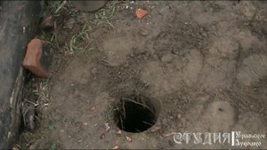 Трос для собаки