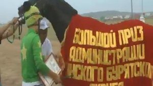 Зунай наадан 2017