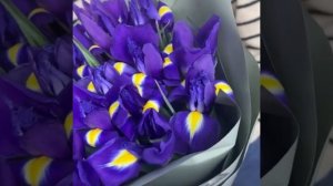 прекрасные ирисы.mov