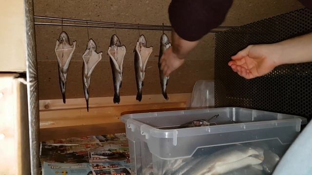 Лучший рецепт копчения рыбы || НАИВКУСНЕЙШАЯ  копченая рыбка Рецепт