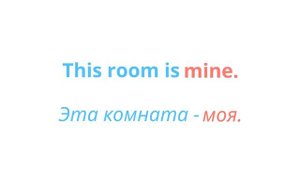 Знакомимся с абсолютной формой притяжательного местоимения – моё.