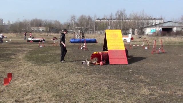 Гречкин-НАТИ-21.04.12.mp4 смотреть онлайн