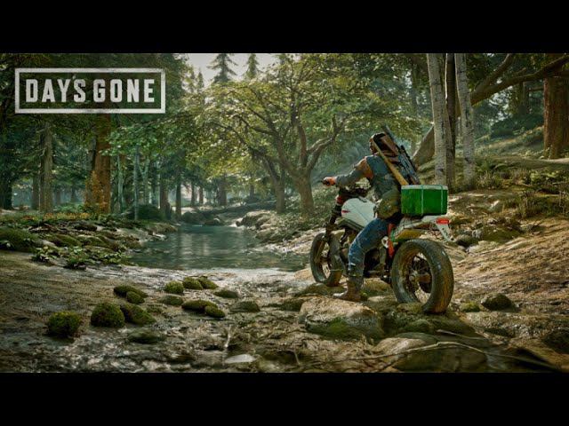 Days Gone (Часть 30)