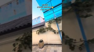 Отель Риффос Сочи 4 звезды.Отель в Адлере октябрь-ноябрь