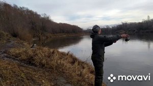 Силиконовые приманки Probaits.