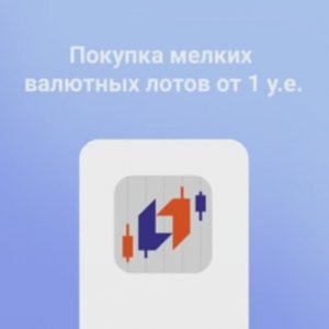 Покупка мелких валютных лотов