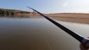 Ловля карпа на поплавок в сентябре