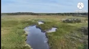 мы родились в сибири//про стрим//обзор канала