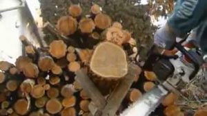 Stihl MS 361 vs. Husqvarna 262 XP