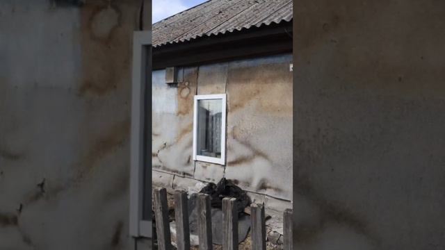 Мы кормим, чиним, строим. Мы помогаем.