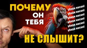 КАК нужно говорить, чтобы мужчина тебя СЛЫШАЛ и делал то, ЧТО ТЫ ХОЧЕШЬ.