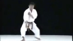 Шито-рю каратэ.Ката Томари Рохай.Tomari Rohai Shito Ryu