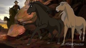 История Страйдера.