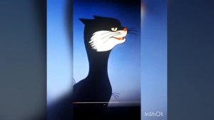 Чёрный кот поёт песню Считалочка