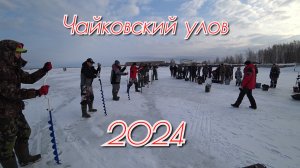 Чайковский Улов - 2024! Соревнования по ловле на блесну и мормышку.