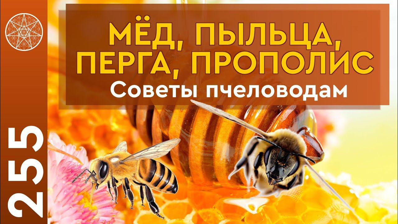 #255 Пчеловодство: методы гармоничного развития. Советы пчеловодам. Мед, пыльца, перга, прополис
